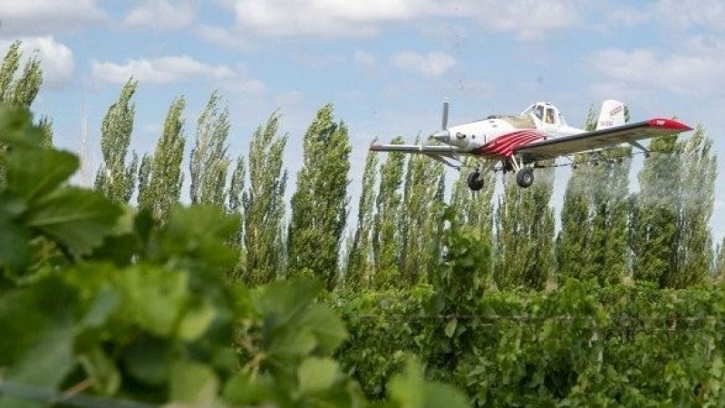 El Iscamen controlará la Lobesia botrana para 120.000 hectáreas de vid